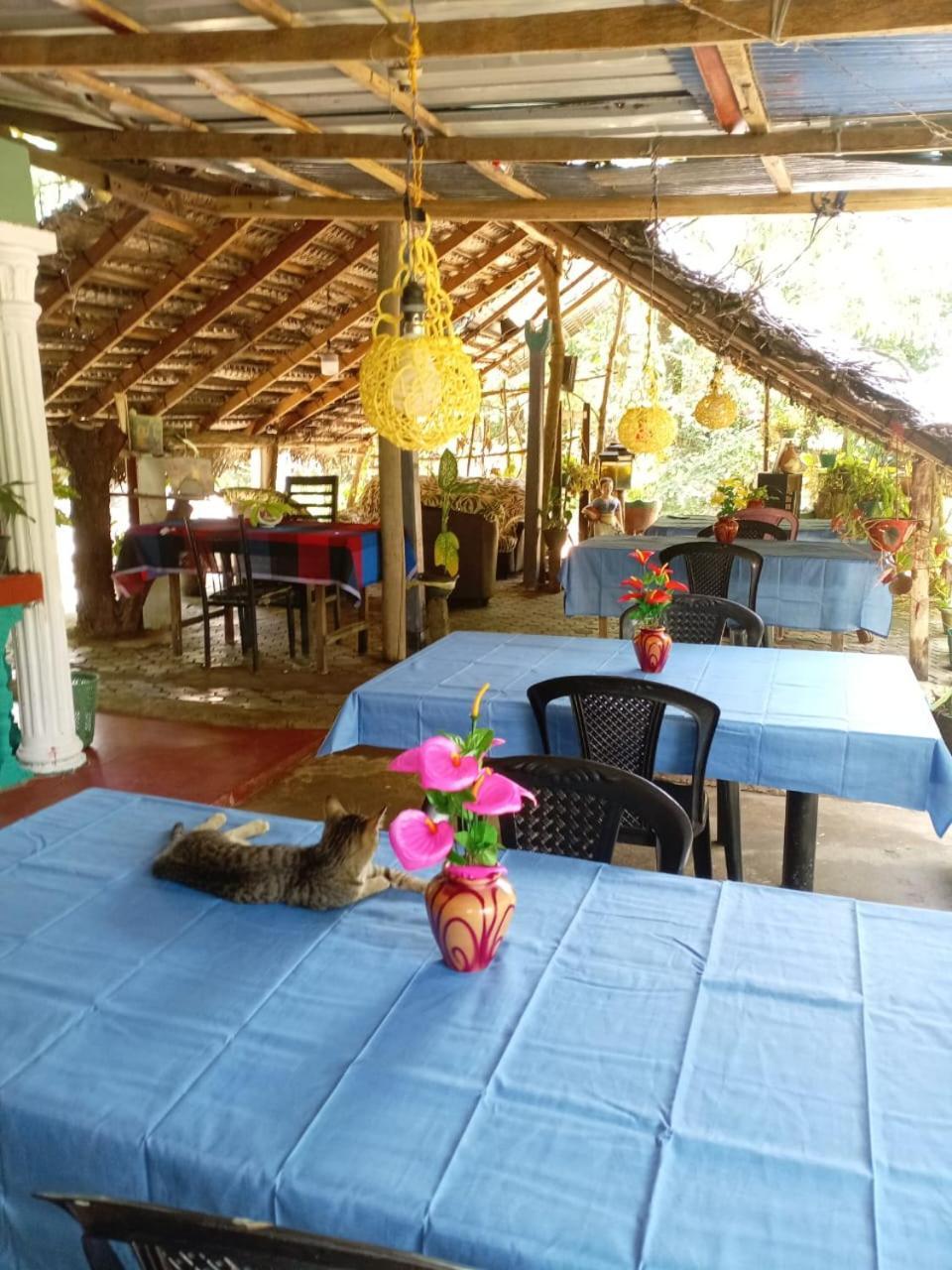 Near The Canal Homstay Sigiriya Exterior foto
